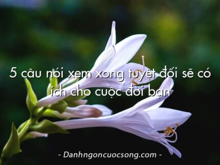 5 câu nói xem xong tuyệt đối sẽ có ích cho cuộc đời bạn