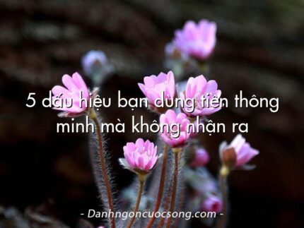 5 dấu hiệu bạn dùng tiền thông minh mà không nhận ra