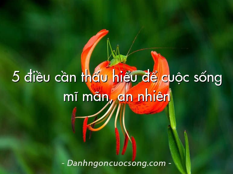 5 điều cần thấu hiểu để cuộc sống mĩ mãn, an nhiên