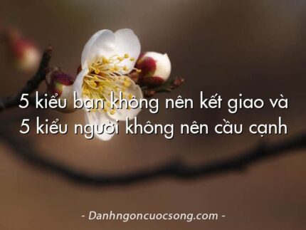 5 kiểu bạn không nên kết giao và 5 kiểu người không nên cầu cạnh