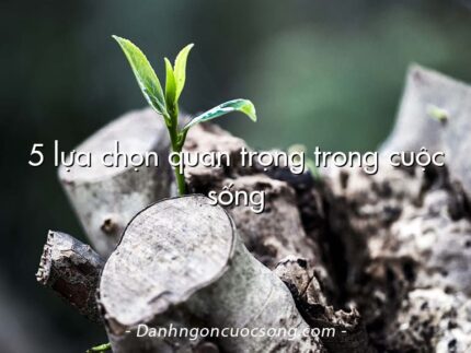 5 lựa chọn quan trọng trong cuộc sống