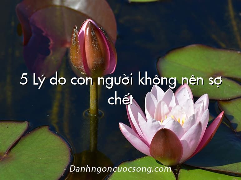 5 Lý do con người không nên sợ chết