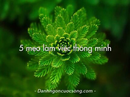 5 mẹo làm việc thông minh