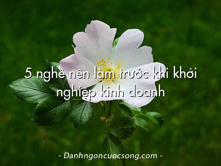 5 nghề nên làm trước khi khởi nghiệp kinh doanh