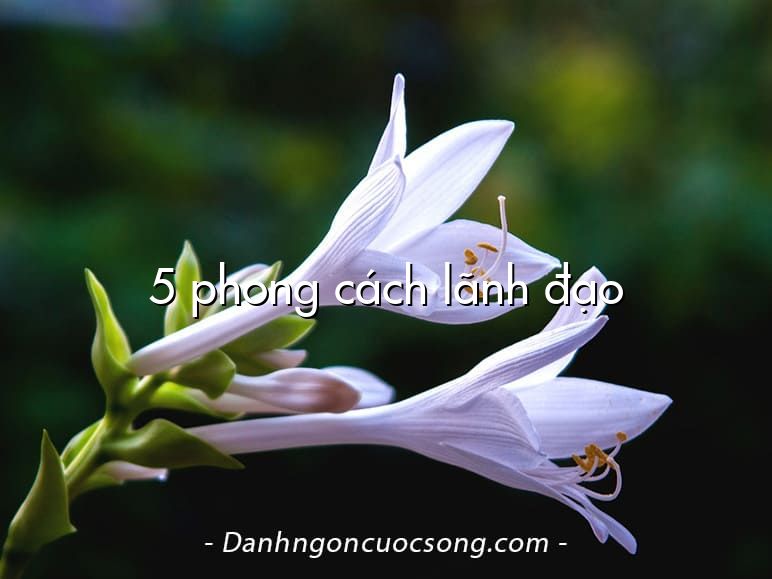 5 phong cách lãnh đạo