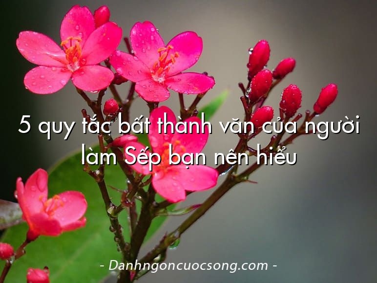 5 quy tắc bất thành văn của người làm Sếp bạn nên hiểu