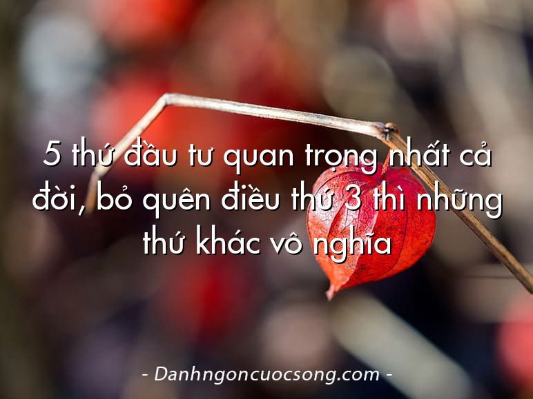5 thứ đầu tư quan trọng nhất cả đời, bỏ quên điều thứ 3 thì những thứ khác vô nghĩa