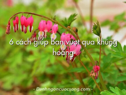 6 cách giúp bạn vượt qua khủng hoảng