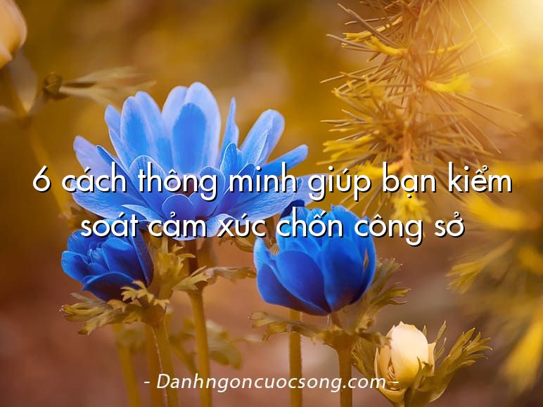 6 cách thông minh giúp bạn kiểm soát cảm xúc chốn công sở
