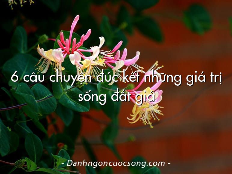 6 câu chuyện đúc kết những giá trị sống đắt giá