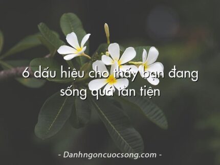 6 dấu hiệu cho thấy bạn đang sống quá tằn tiện