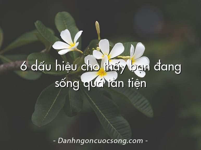 6 dấu hiệu cho thấy bạn đang sống quá tằn tiện