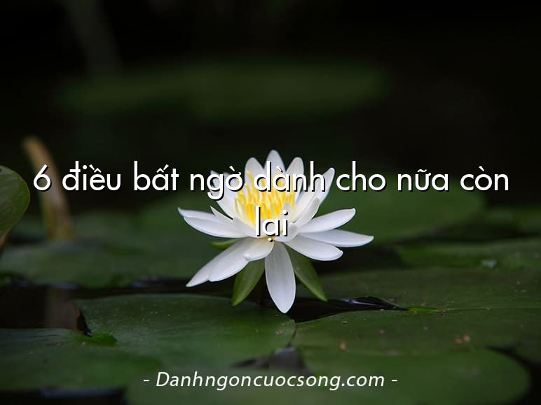 6 điều bất ngờ dành cho nữa còn lại