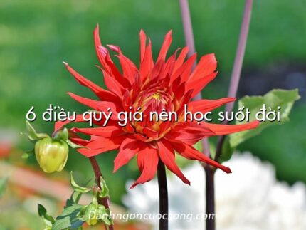 6 điều quý giá nên học suốt đời
