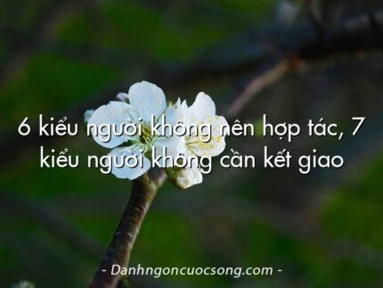 6 kiểu người không nên hợp tác, 7 kiểu người không cần kết giao