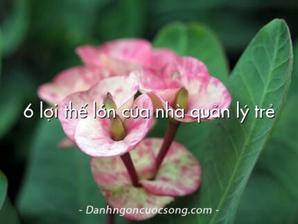 6 lợi thế lớn của nhà quản lý trẻ