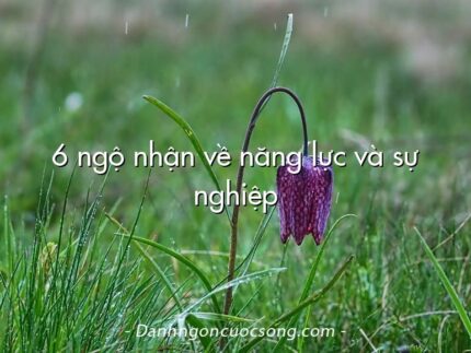 6 ngộ nhận về năng lực và sự nghiệp