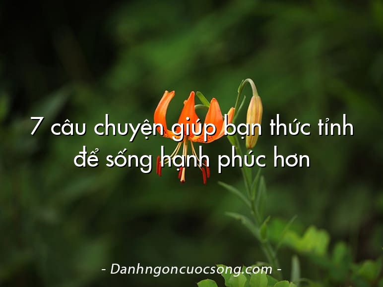 7 câu chuyện giúp bạn thức tỉnh để sống hạnh phúc hơn