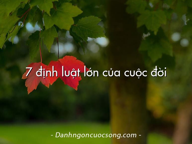 7 định luật lớn của cuộc đời