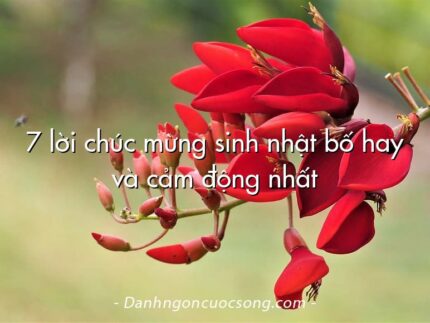7 lời chúc mừng sinh nhật bố hay và cảm động nhất
