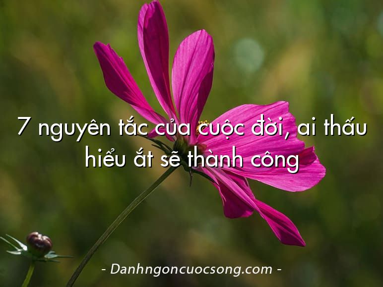 7 nguyên tắc của cuộc đời, ai thấu hiểu ắt sẽ thành công