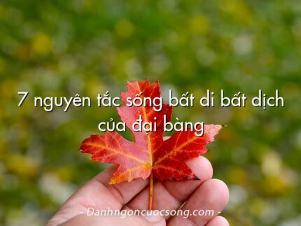 7 nguyên tắc sống bất di bất dịch của đại bàng