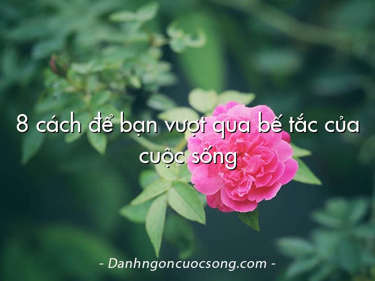 8 cách để bạn vượt qua bế tắc của cuộc sống