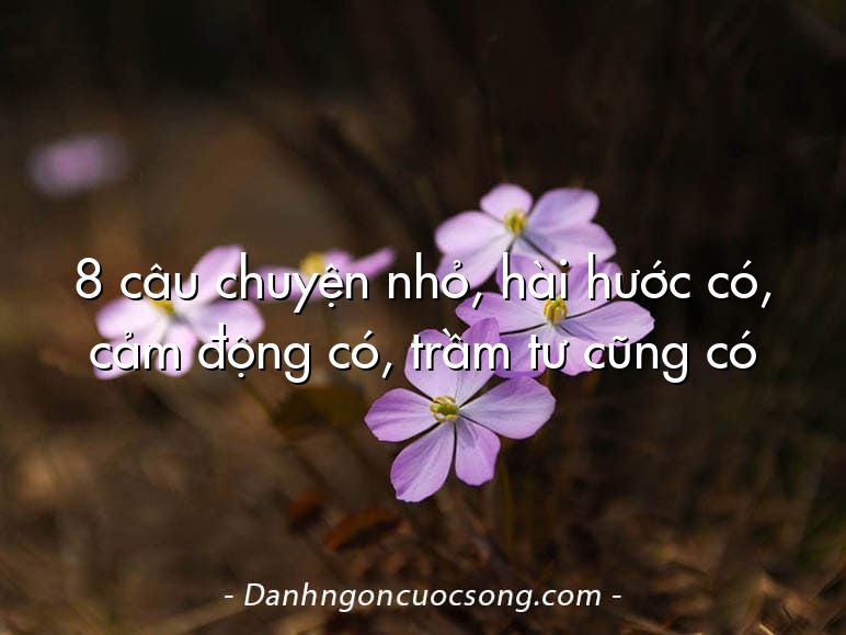 8 câu chuyện nhỏ, hài hước có, cảm động có, trầm tư cũng có
