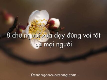 8 chữ người xưa dạy đúng với tất cả mọi người