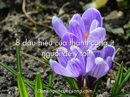8 dấu hiệu của thành công ít người để ý tới