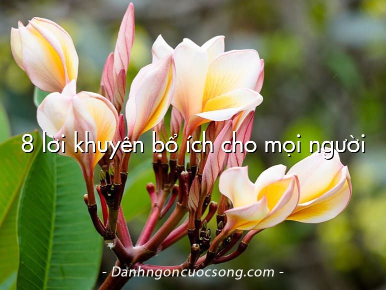 8 lời khuyên bổ ích cho mọi người