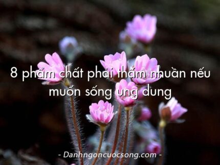 8 phẩm chất phải thấm nhuần nếu muốn sống ung dung