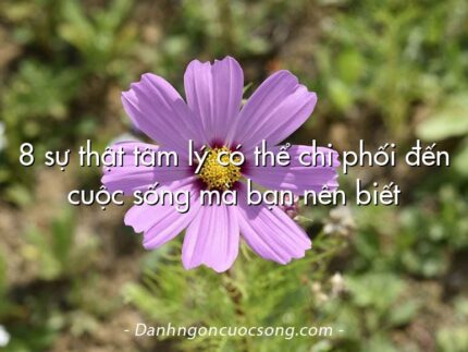 8 sự thật tâm lý có thể chi phối đến cuộc sống mà bạn nên biết