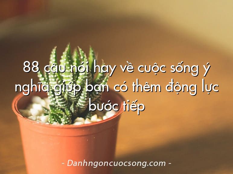 88 câu nói hay về cuộc sống ý nghĩa giúp bạn có thêm động lực bước tiếp