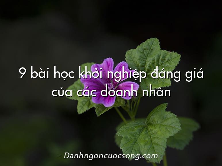 9 bài học khởi nghiệp đáng giá của các doanh nhân