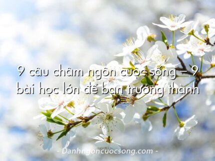 9 câu châm ngôn cuộc sống – 9 bài học lớn để bạn trưởng thành