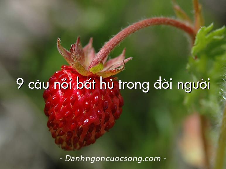 9 câu nói bất hủ trong đời người