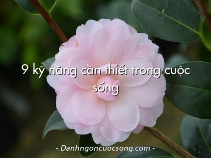 9 kỹ năng cần thiết trong cuộc sống