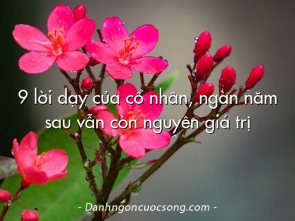 9 lời dạy của cổ nhân, ngàn năm sau vẫn còn nguyên giá trị