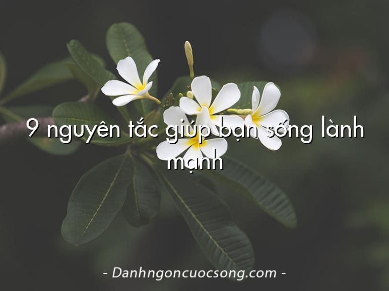 9 nguyên tắc giúp bạn sống lành mạnh