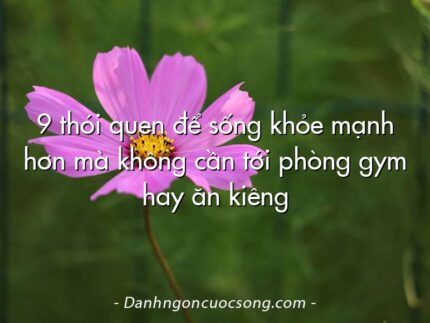 9 thói quen để sống khỏe mạnh hơn mà không cần tới phòng gym hay ăn kiêng