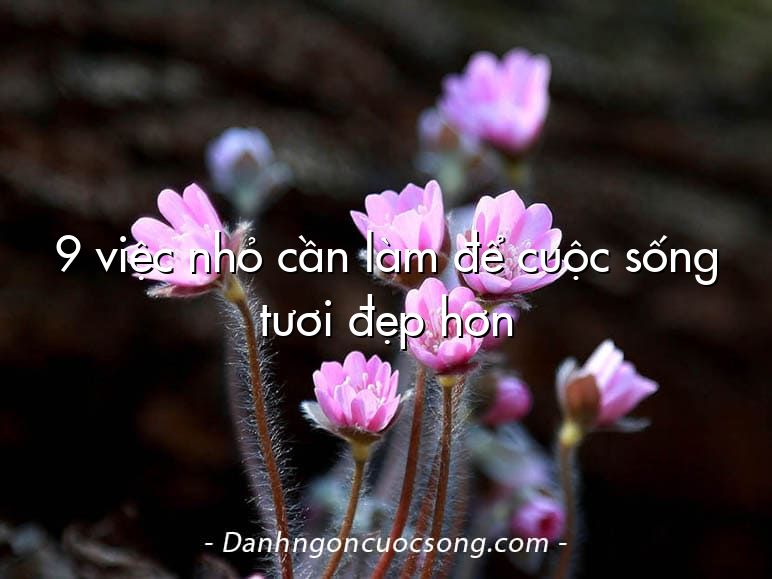 9 việc nhỏ cần làm để cuộc sống tươi đẹp hơn