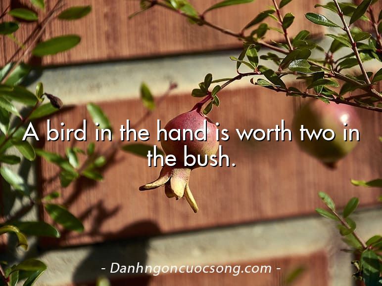 A bird in the hand is worth two in the bush.