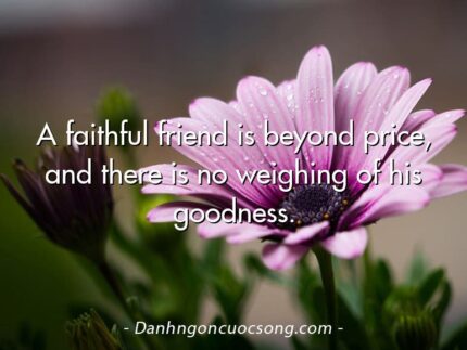 A faithful friend is beyond price, and there is no weighing of his goodness.