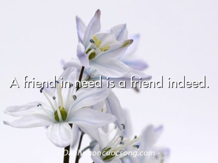 A friend in need is a friend indeed.