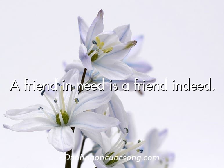 A friend in need is a friend indeed.