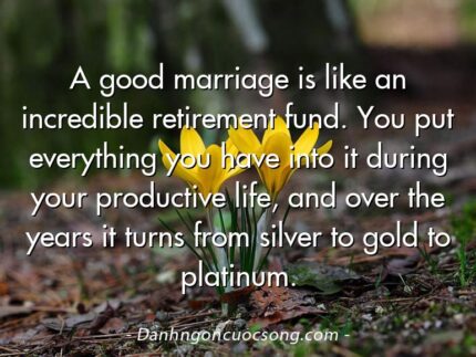 A good marriage is like an incredible retirement fund. You put everything you have into it during your productive life, and over the years it turns from silver to gold to platinum.