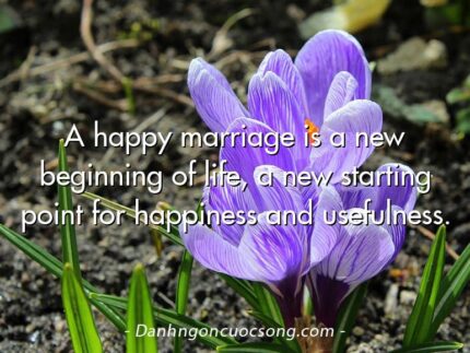 A happy marriage is a new beginning of life, a new starting point for happiness and usefulness.