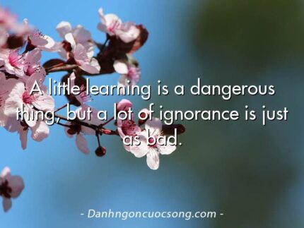 A little learning is a dangerous thing, but a lot of ignorance is just as bad.