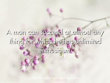 A man can succeed at almost any thing for which he has unlimited enthusiasm.